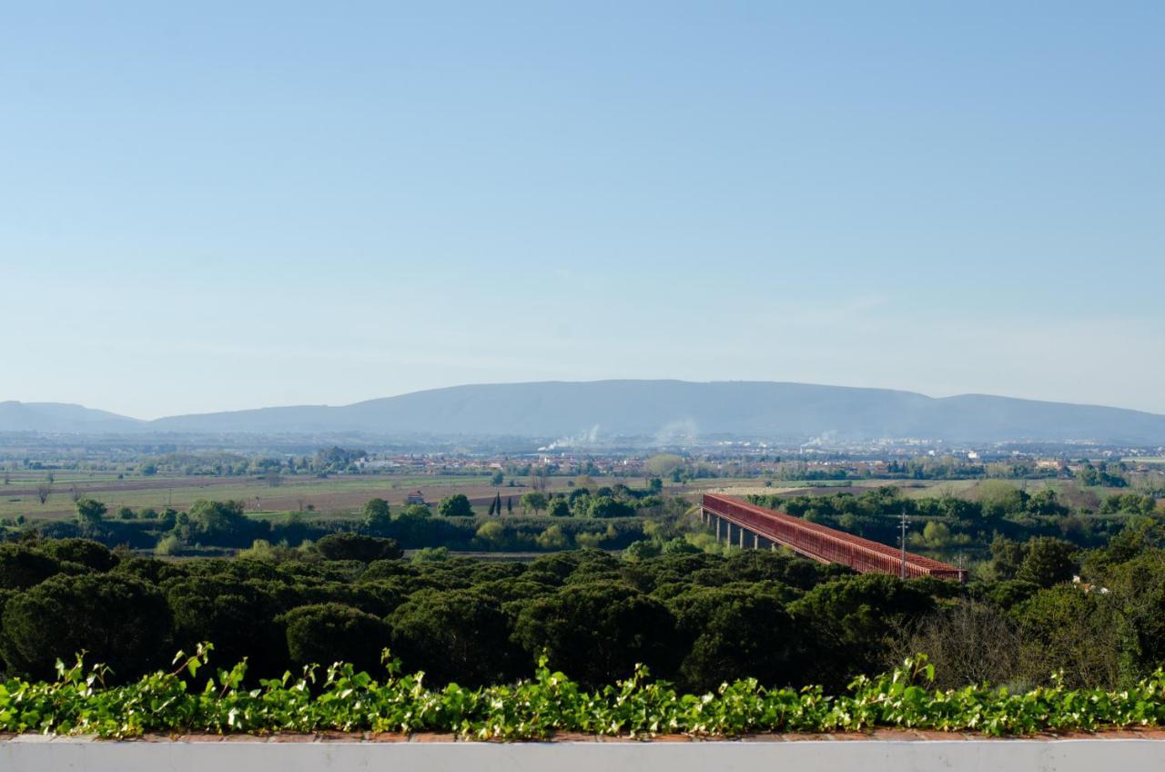 Convento Inn And Artists Residency Chamusca  Εξωτερικό φωτογραφία