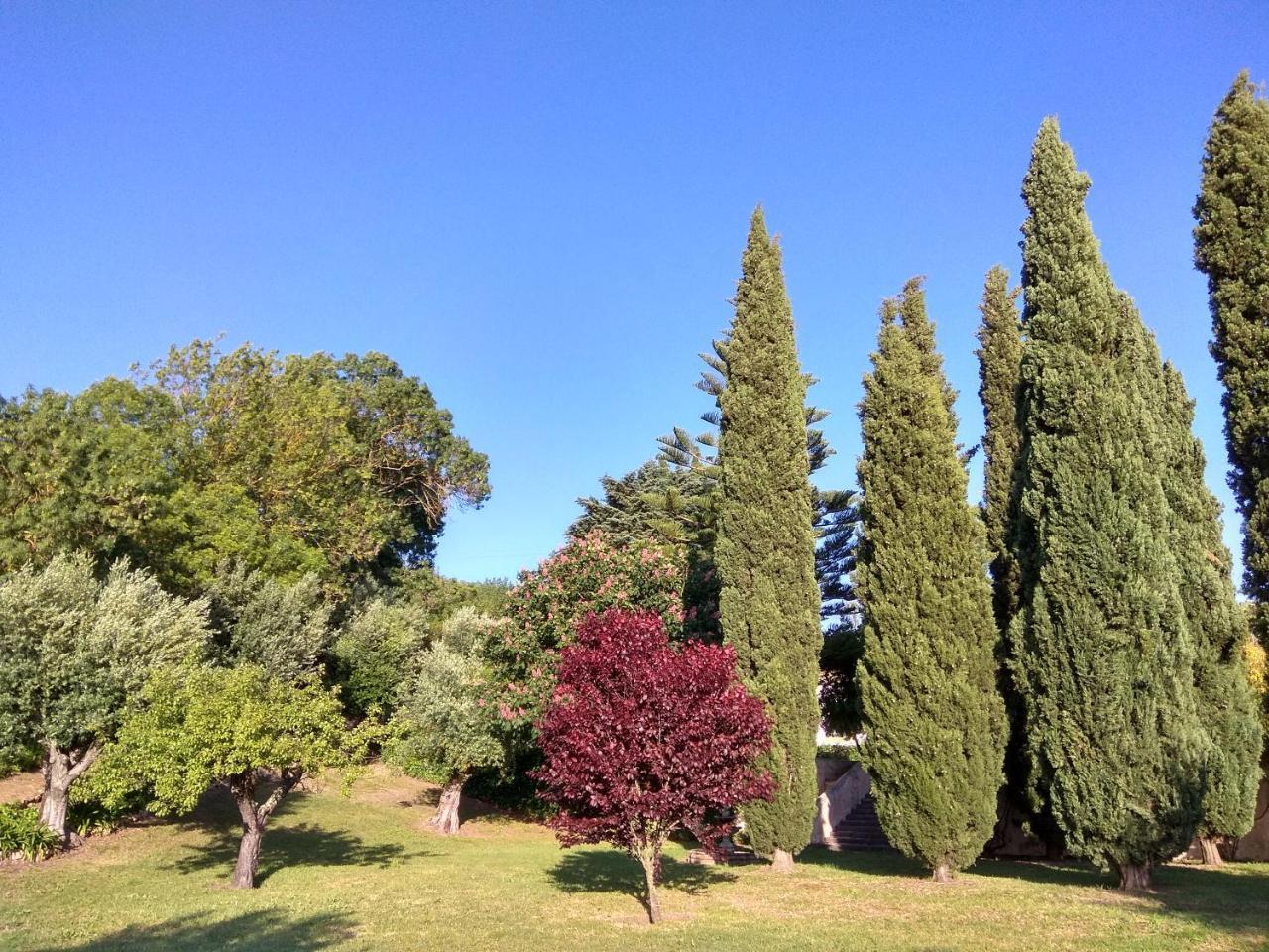 Convento Inn And Artists Residency Chamusca  Εξωτερικό φωτογραφία